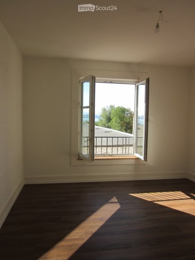 A louer appartement 3 pièces totalement rénové (2)