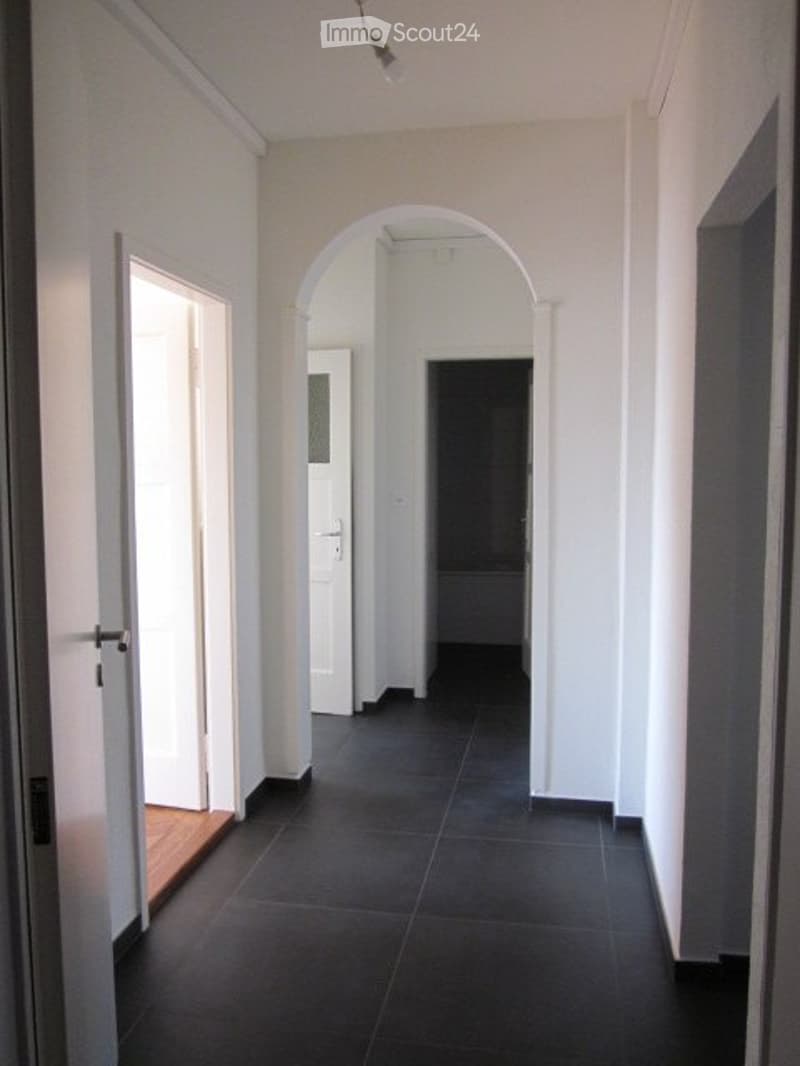 A louer appartement 3 pièces totalement rénové (5)