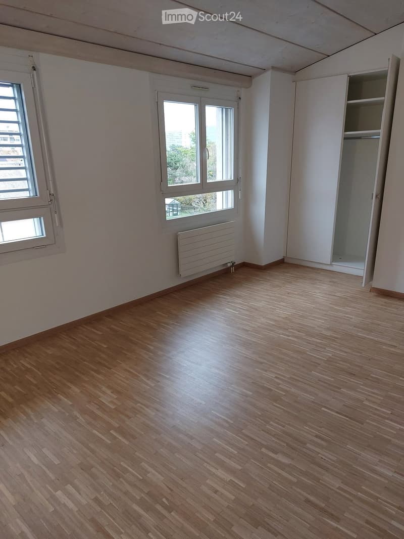 Magnifique attique 5 pièces en duplex 130 m² + terrasse (4)