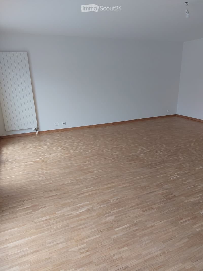 Magnifique attique 5 pièces en duplex 130 m² + terrasse (1)