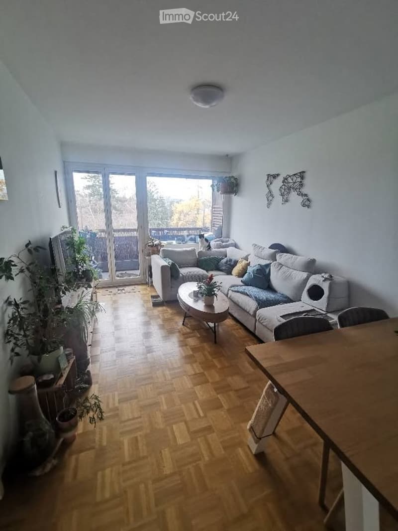 Magnifique 3 pièces au Grand-Lancy (2)