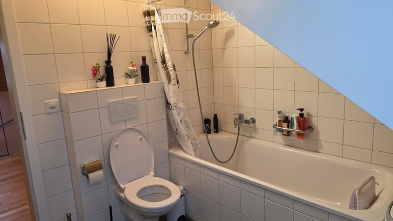 Appartement 3.5 à louer au plus vite (5)