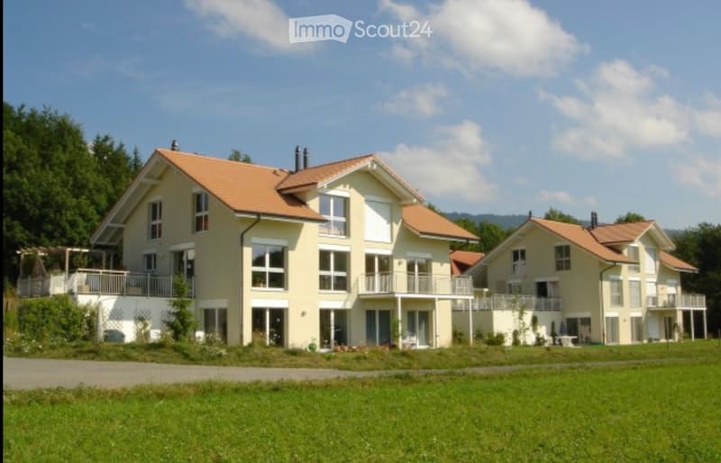 Appartement en duplex de 5.5 pièces (1)