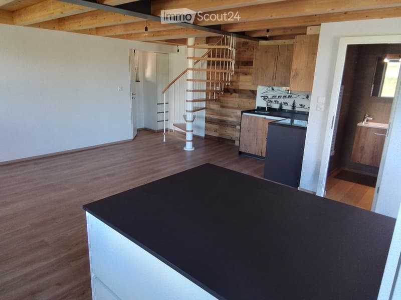 Appartement 2,5 en duplex (1)