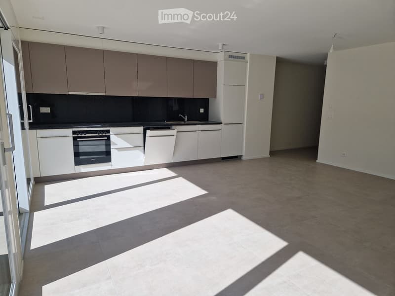 Appartements neufs 3,5 pces avec balcon et cave (4,5 pces) (1)