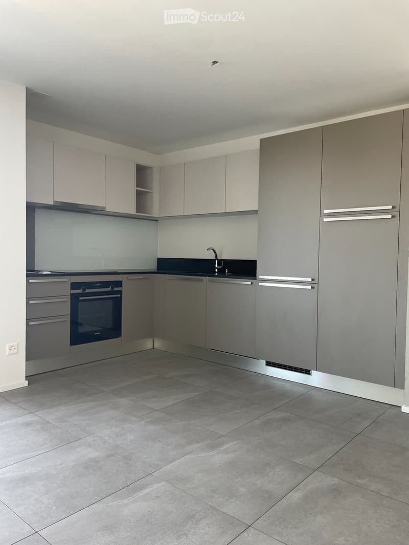 Magnifique appartement de 4.5 pcs au dernier étage (2)