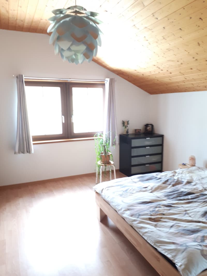 Appartement triplex 140m2 (3)