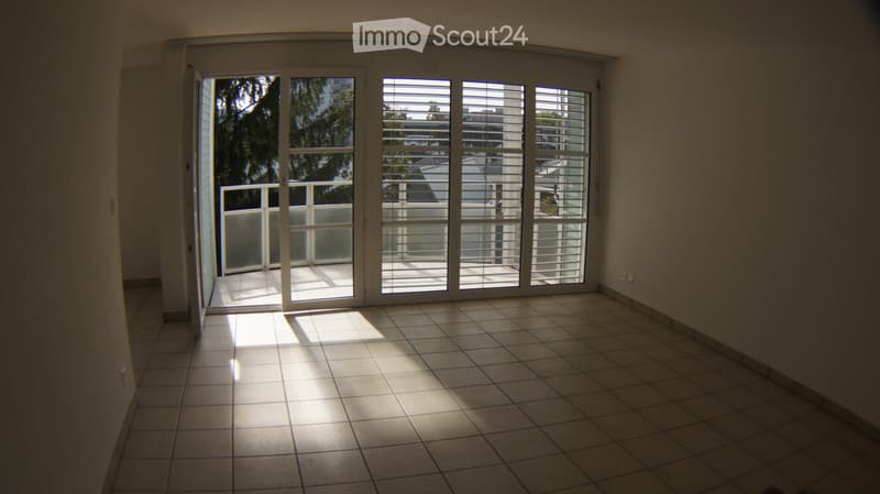 Appartement 3.5 pièces dernier étage avec ascenseur (1)