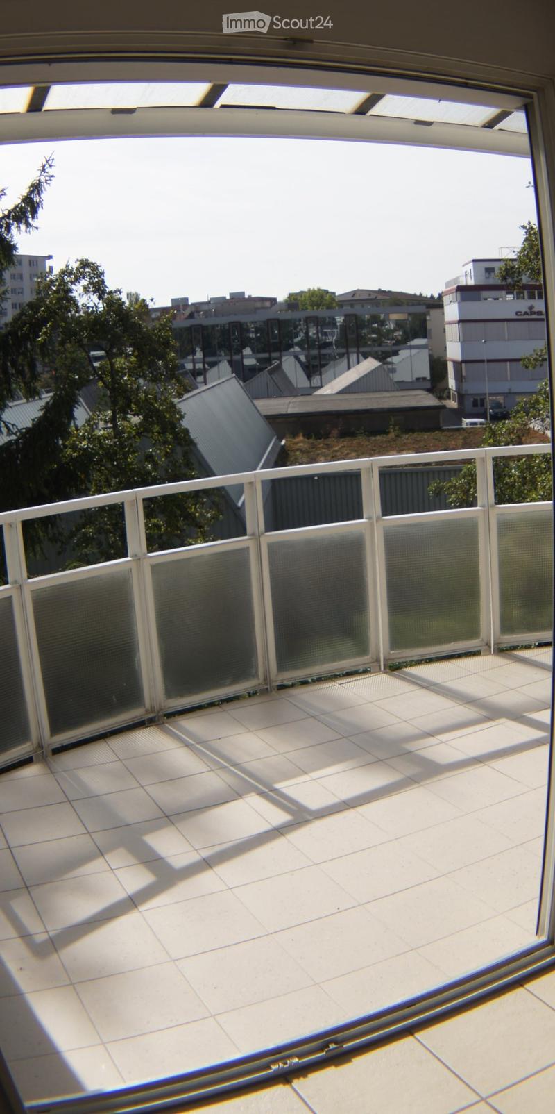 Appartement 3.5 pièces dernier étage avec ascenseur (3)