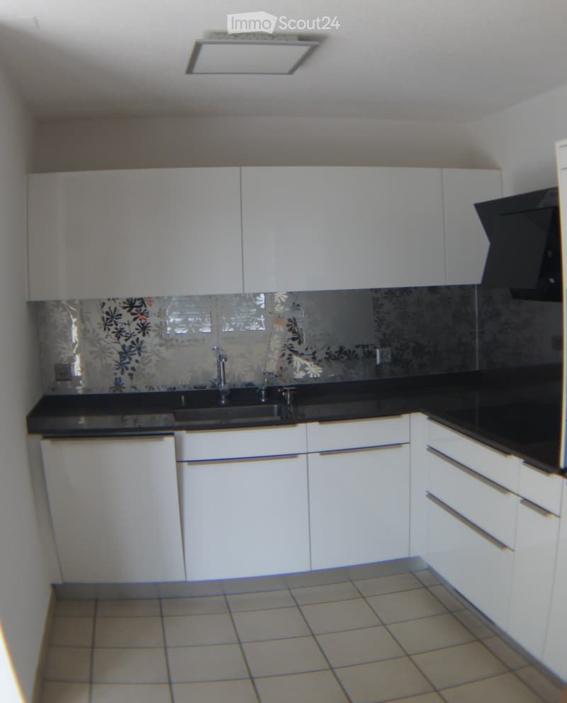 Appartement 3.5 pièces dernier étage avec ascenseur (5)