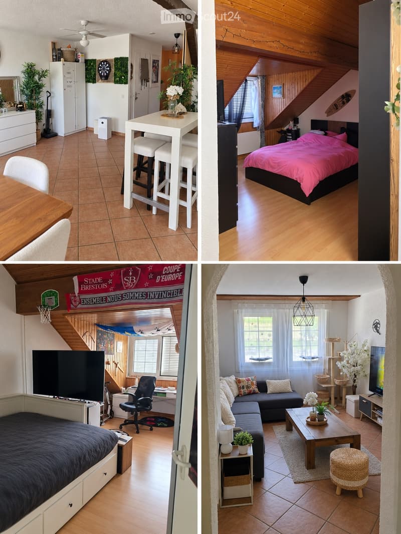 Beau 5 pièces en duplex avec terrasse (2)