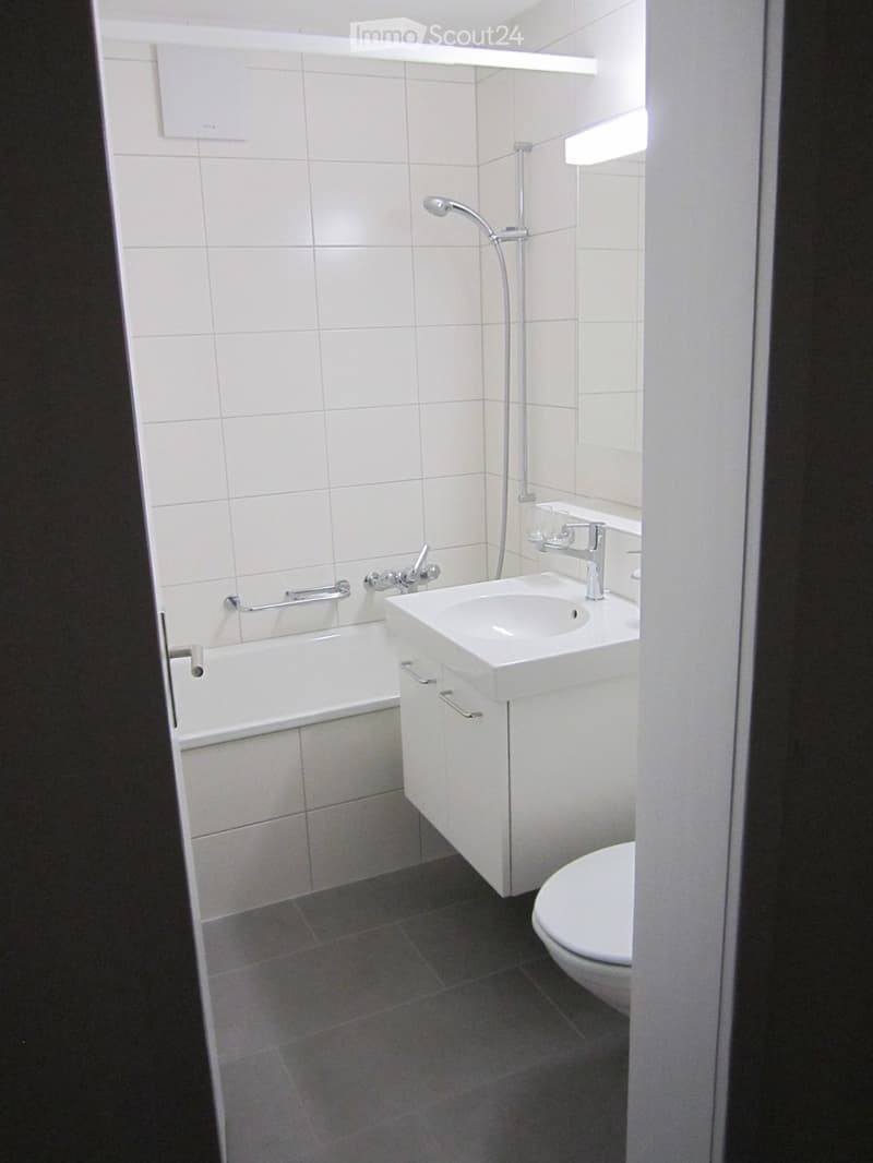 helle und sonnige 3,5-Zi-NR-Dach-Eckwohnung (4)