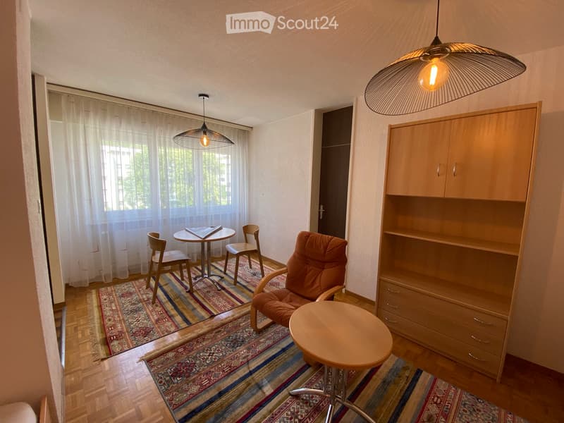 Grand studio meublé à louer de suite à Sierre (3)