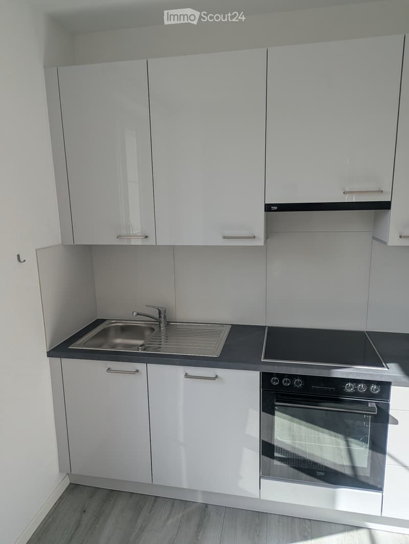 Appartement duplex 4.5 Delémont, machines perso (2)