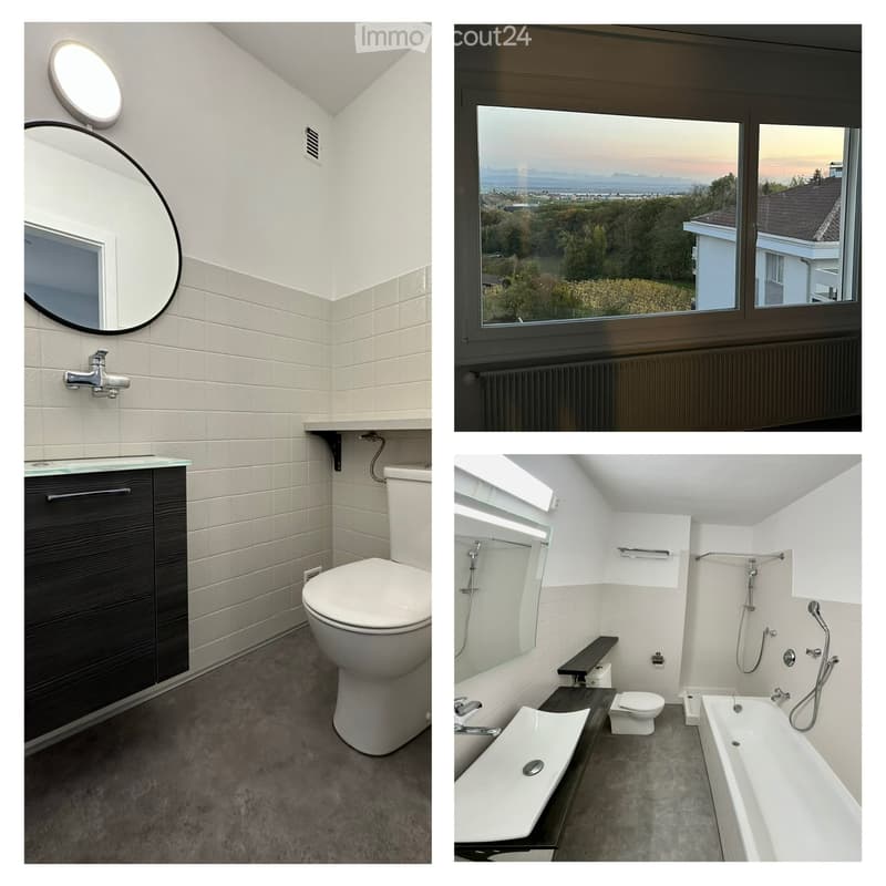 Spacieux 5.5 pc avec cheminée, piscine et vue sur lac (3)