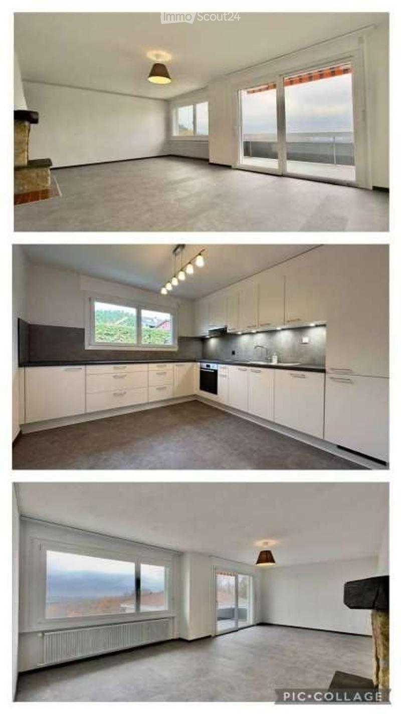 Spacieux 5.5 pc avec cheminée, piscine et vue sur lac (4)