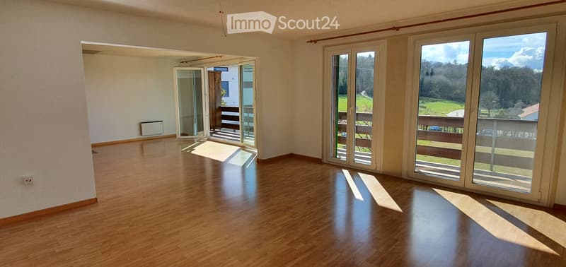 Magnifique appartement 3.5 en attique avec vue dégagée (1)