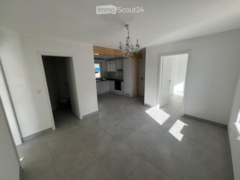 À LOUER : APPARTEMENT 3 PIÈCES ENTIÈREMENT RÉNOVÉ (1)
