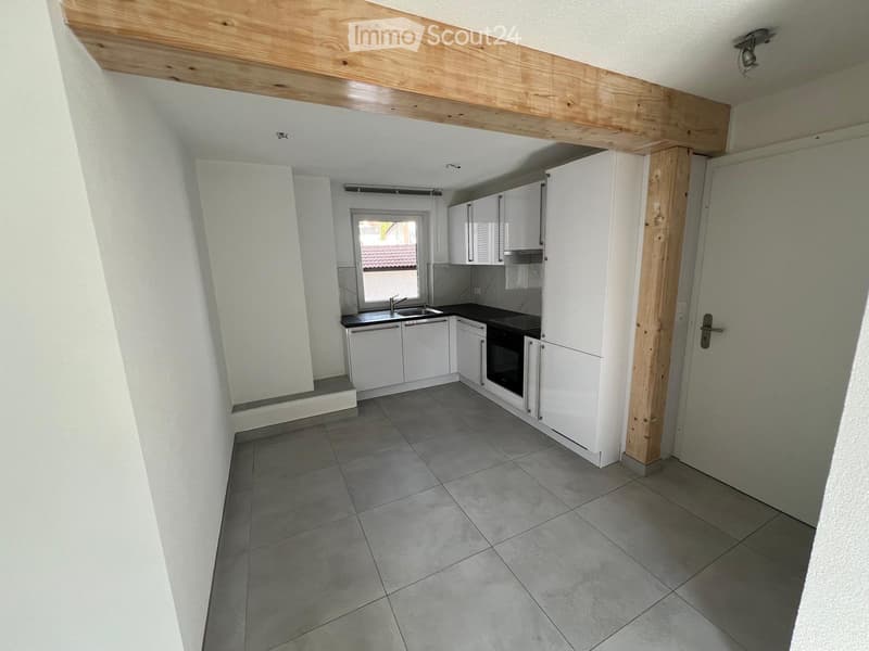 À LOUER : APPARTEMENT 3 PIÈCES ENTIÈREMENT RÉNOVÉ (2)