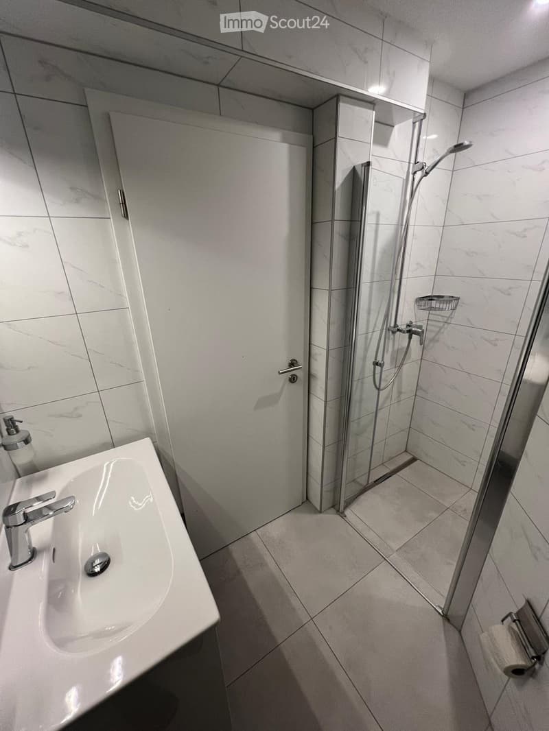 À LOUER : APPARTEMENT 3 PIÈCES ENTIÈREMENT RÉNOVÉ (5)