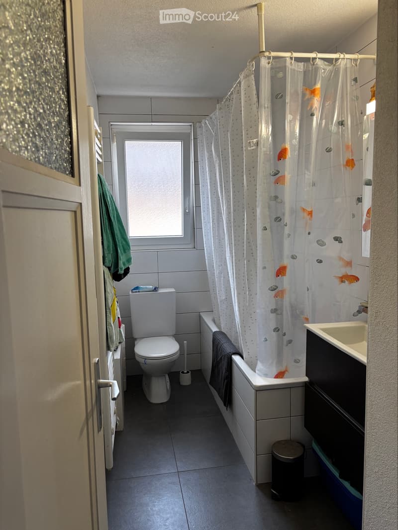 Reprise de bail - appartement de 3 pièces (2)