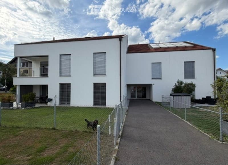 Appartement de 3.5 pièces + mezzanine (1)