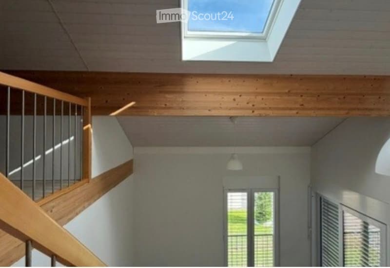 Appartement de 3.5 pièces + mezzanine (3)