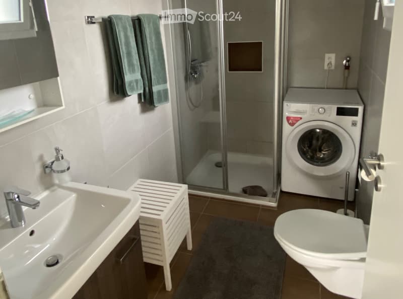 Charmant appartement meublé 2.5 pièces (4)
