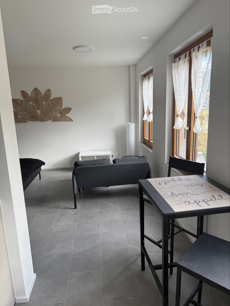Studio meublé (3)
