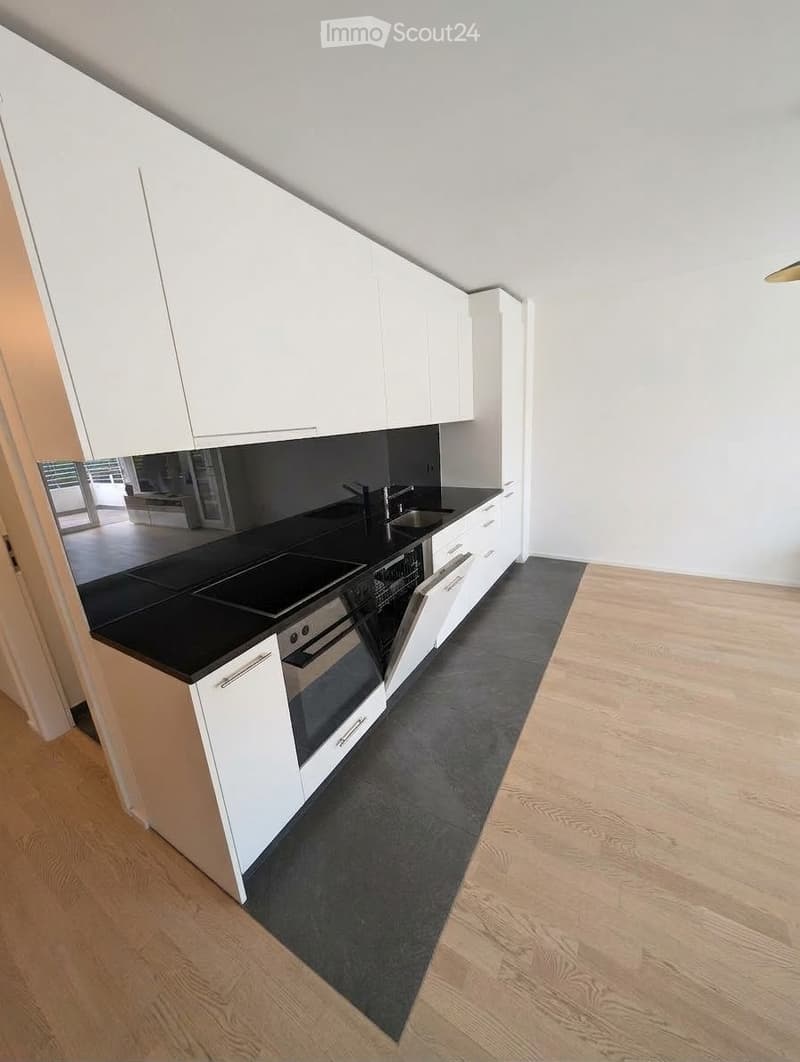 REPRISE DE BAIL - Appart. de 54m2 + gde terrasse et parking (5)