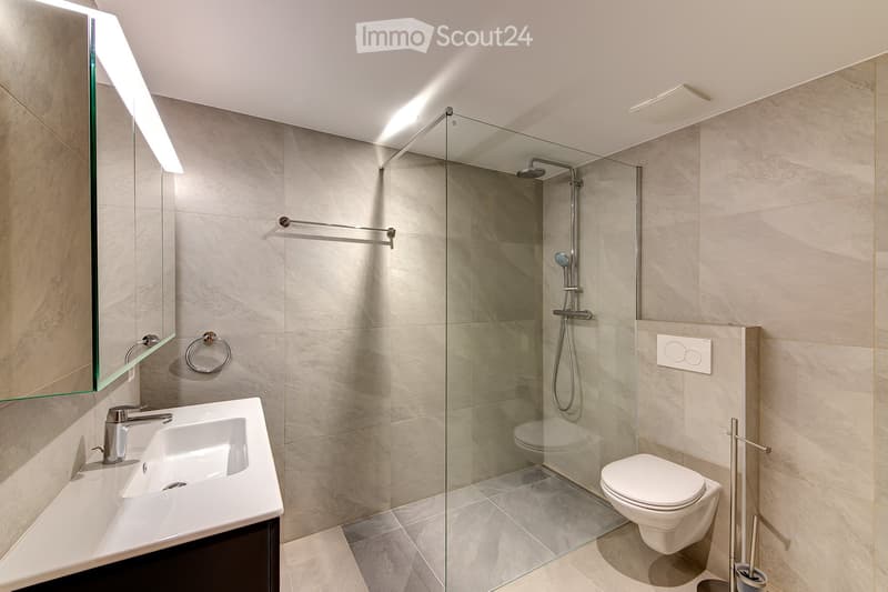 Magnifique appartement dans la vieille ville de Martigny (4)