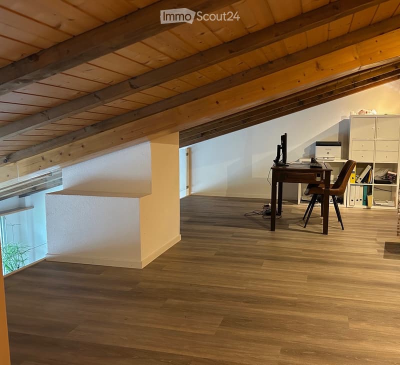 Grosse 3.5-Zimmer Maisonette-Wohnung (4)