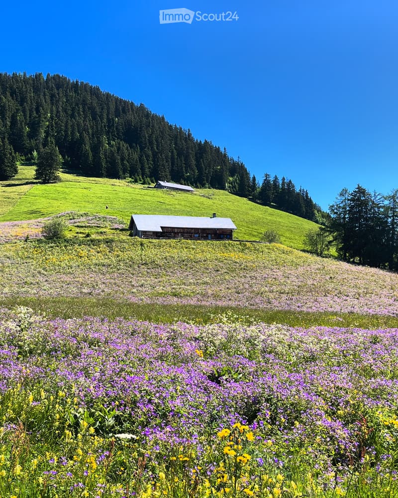 Chalet à louer au calme à Leysin pour saison hiver 26/27 (3)