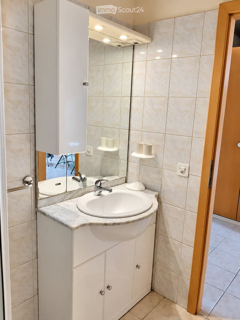 À louer à Yvonand Studio mansardé de 35 m² (5)