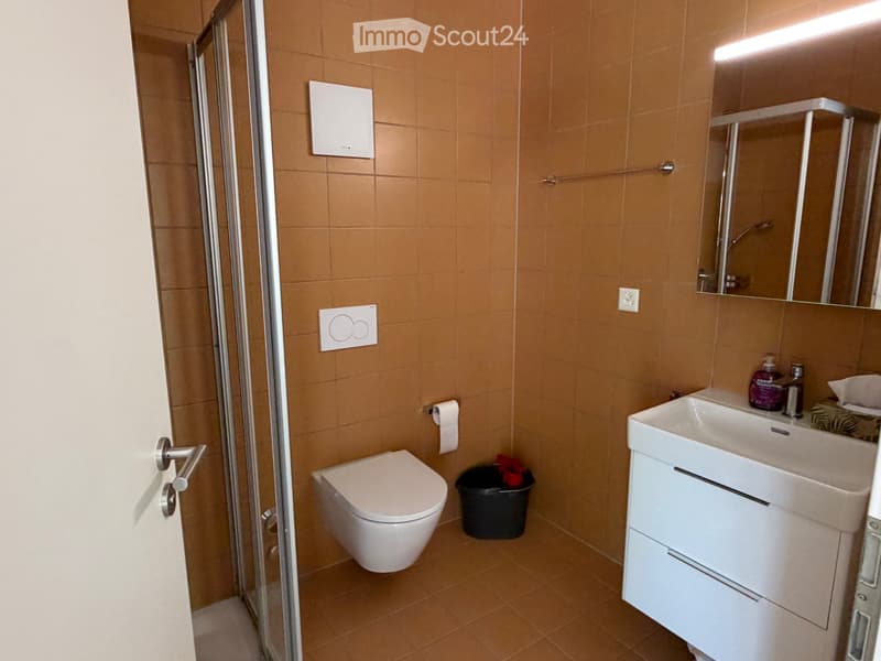 Appartement à louer (3)