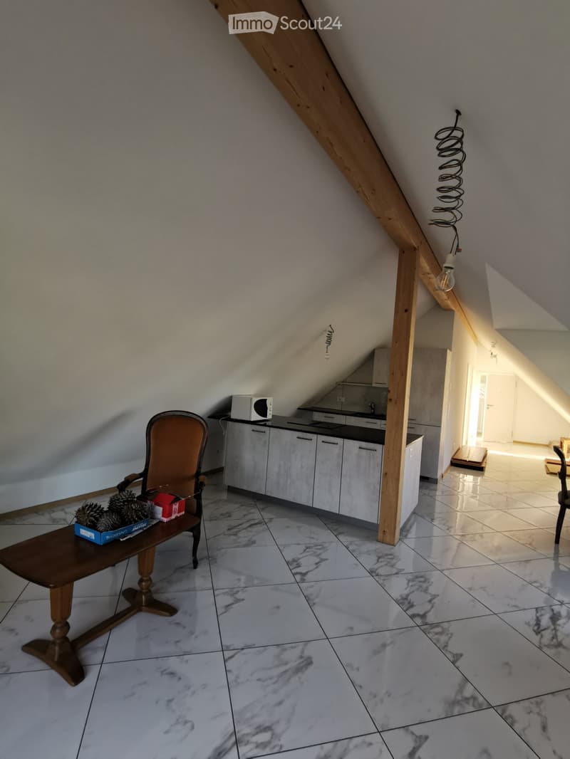 Appartement 2 1/2 pièces à louer (5)