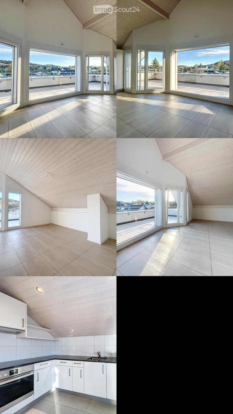Magnifique appartement 3,5 Pièces avec vue panoramique (4)