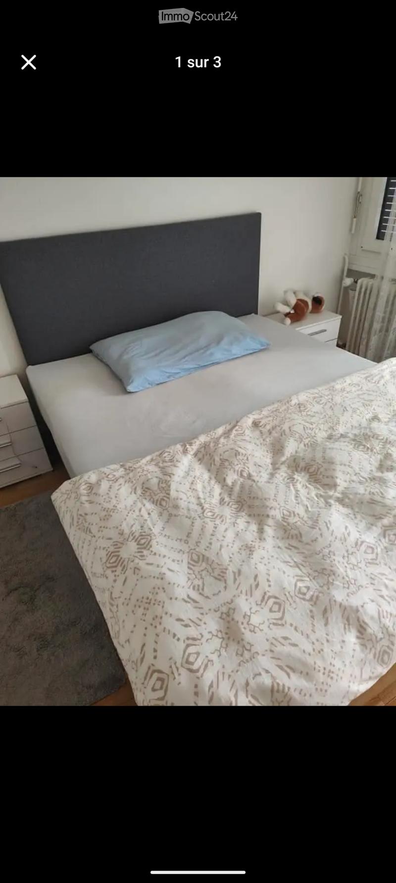 Chambre a louer Onex (3)