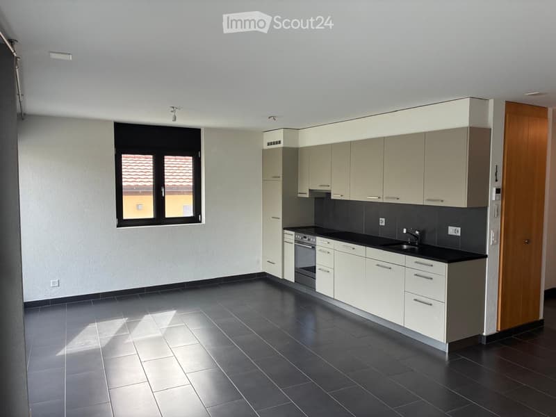 Magnifique appartement de 3,5 avec terrasse (4)
