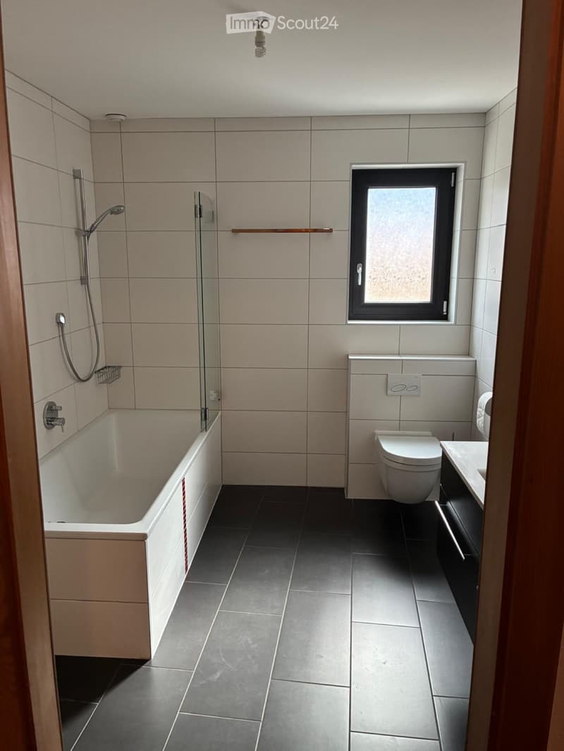 Magnifique appartement de 3,5 avec terrasse (5)