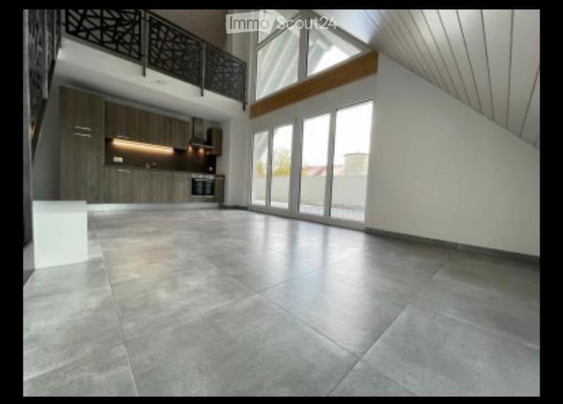 duplex de 3,5 pièces avec mezzanine & grande terrasse (2)