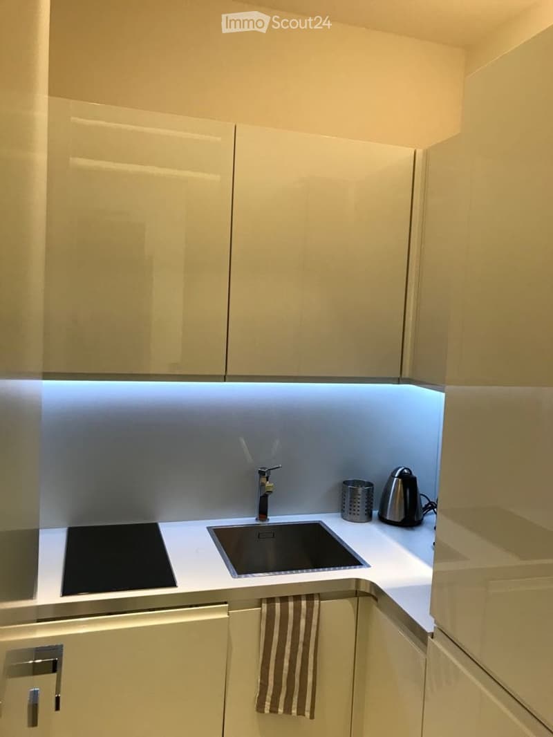 Elegant Furnished Apartment Near Lake (5)