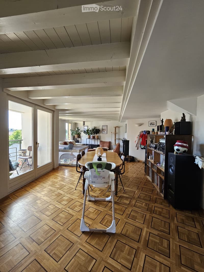 Bel appartement 6 pièces à chêne bourg (1)
