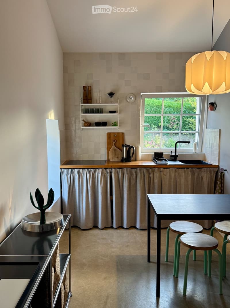 Collonges-sous-Salève - Grand Studio mezzanine et extérieur (2)