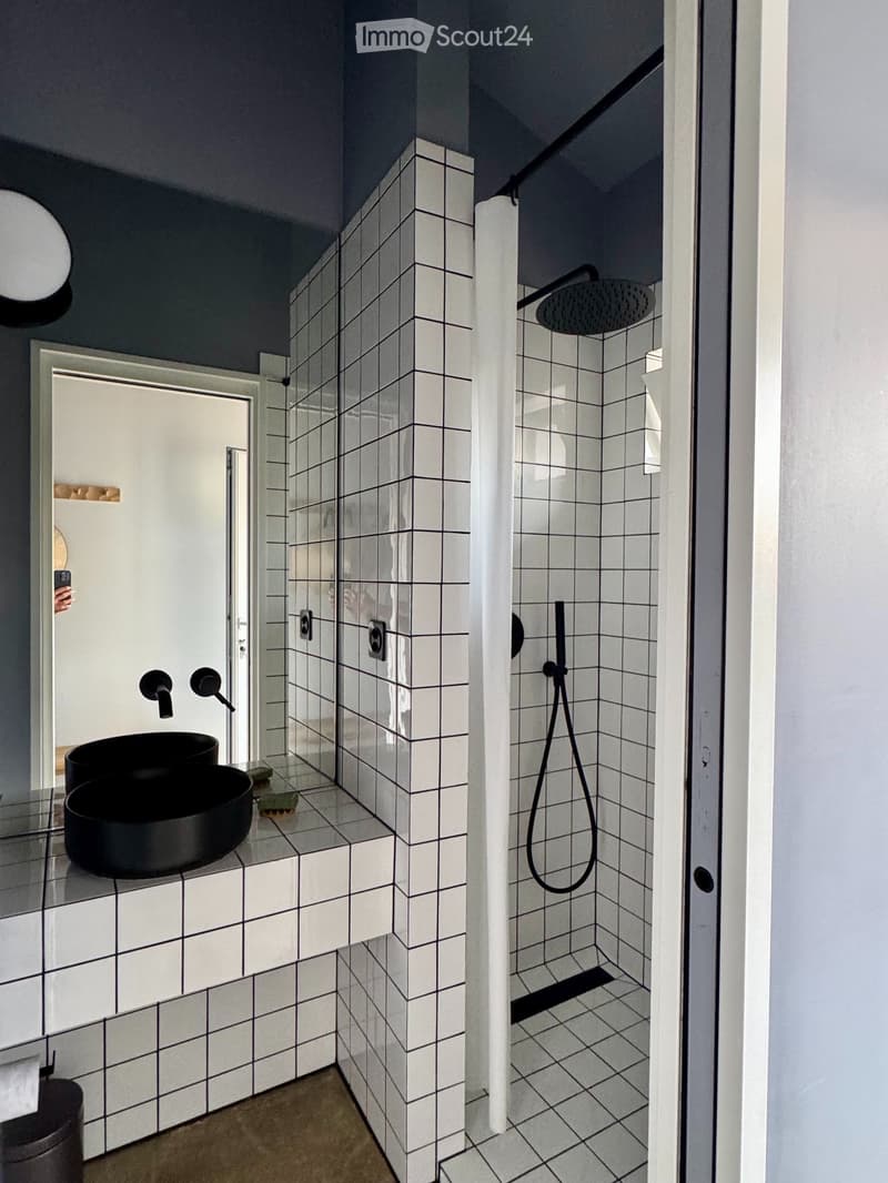Collonges-sous-Salève - Grand Studio mezzanine et extérieur (4)