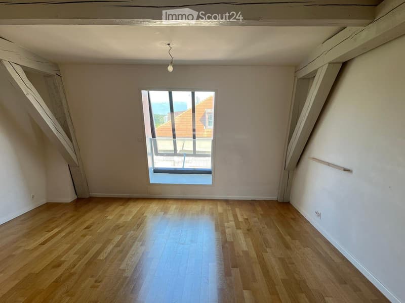 Appartement 3 chambres 2 salles de bains centre Plainpalais. (1)
