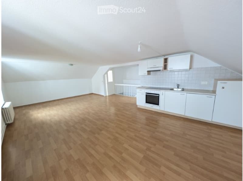 Appartement 1.5 pieces (2)