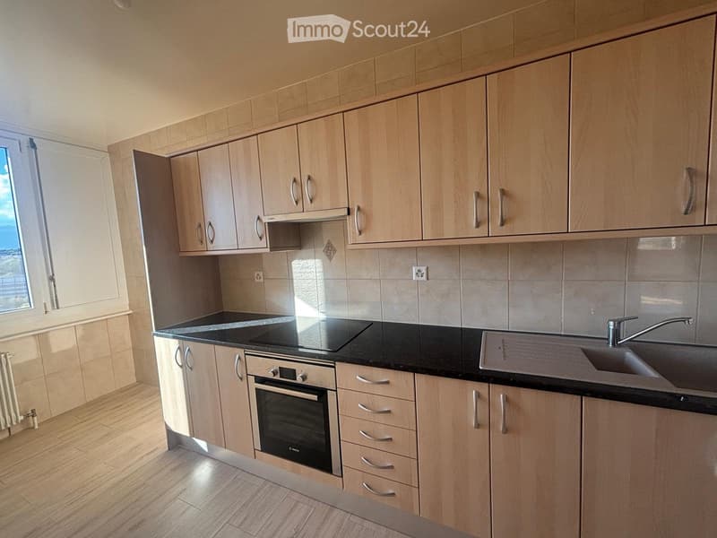 Appartement de 5 pièces à Genève - Quartier Vermont (2)