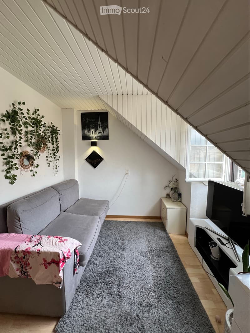 Studio (1)
