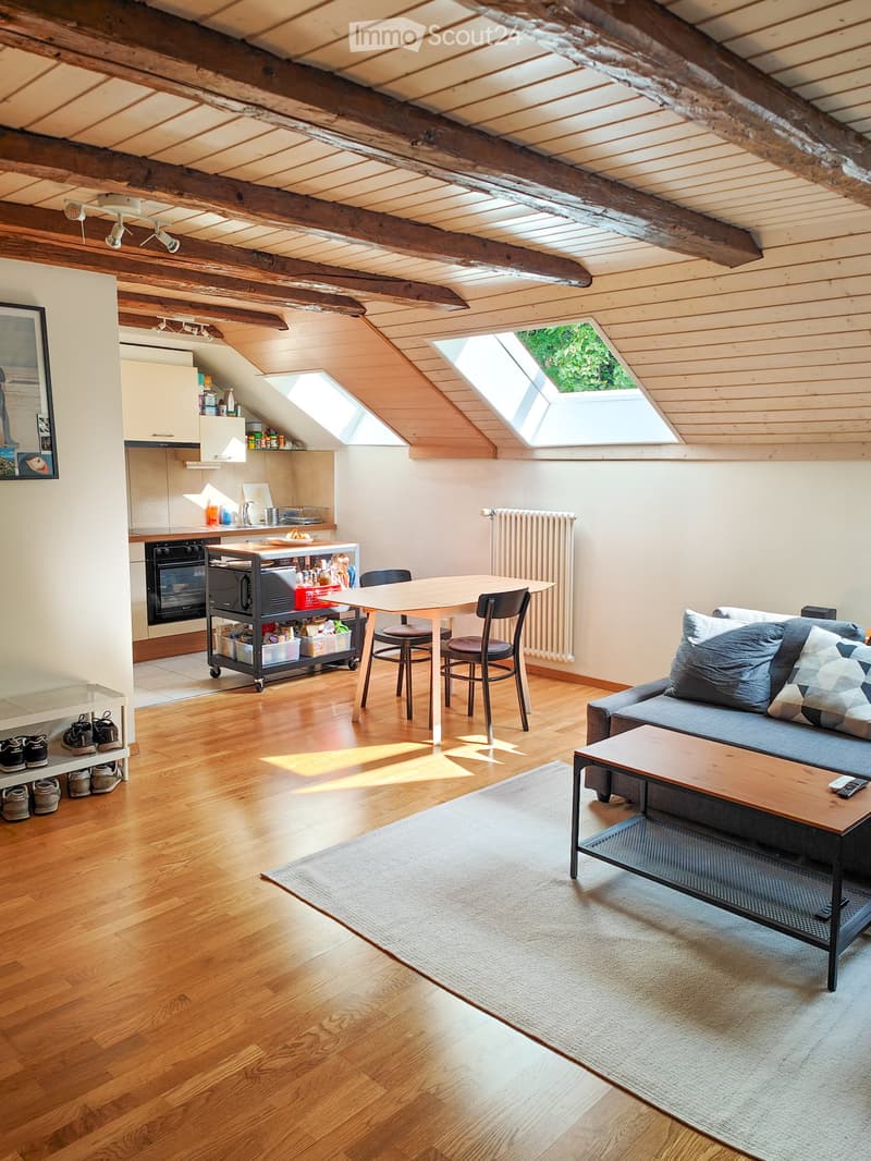 Appartement de 2.5 pièces denviron 55 m² (2)